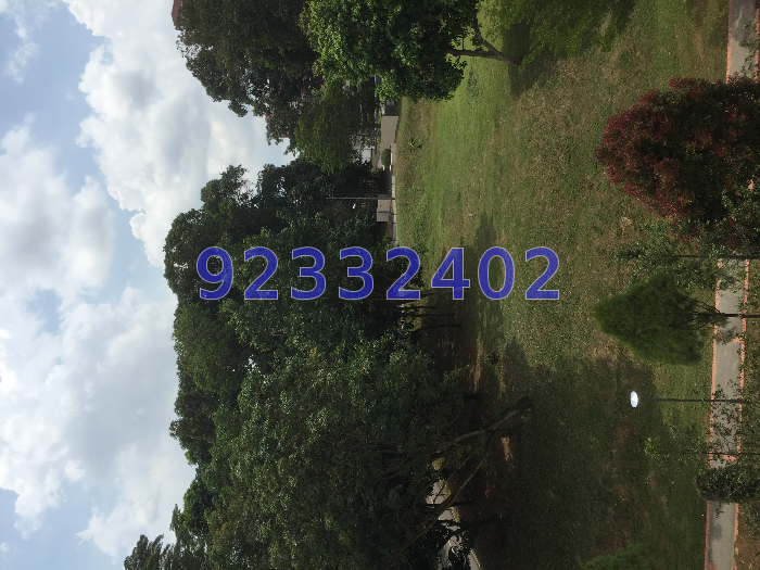 Blk 267 Bukit Batok East Avenue 4 (Bukit Batok), HDB 3 Rooms #44669762